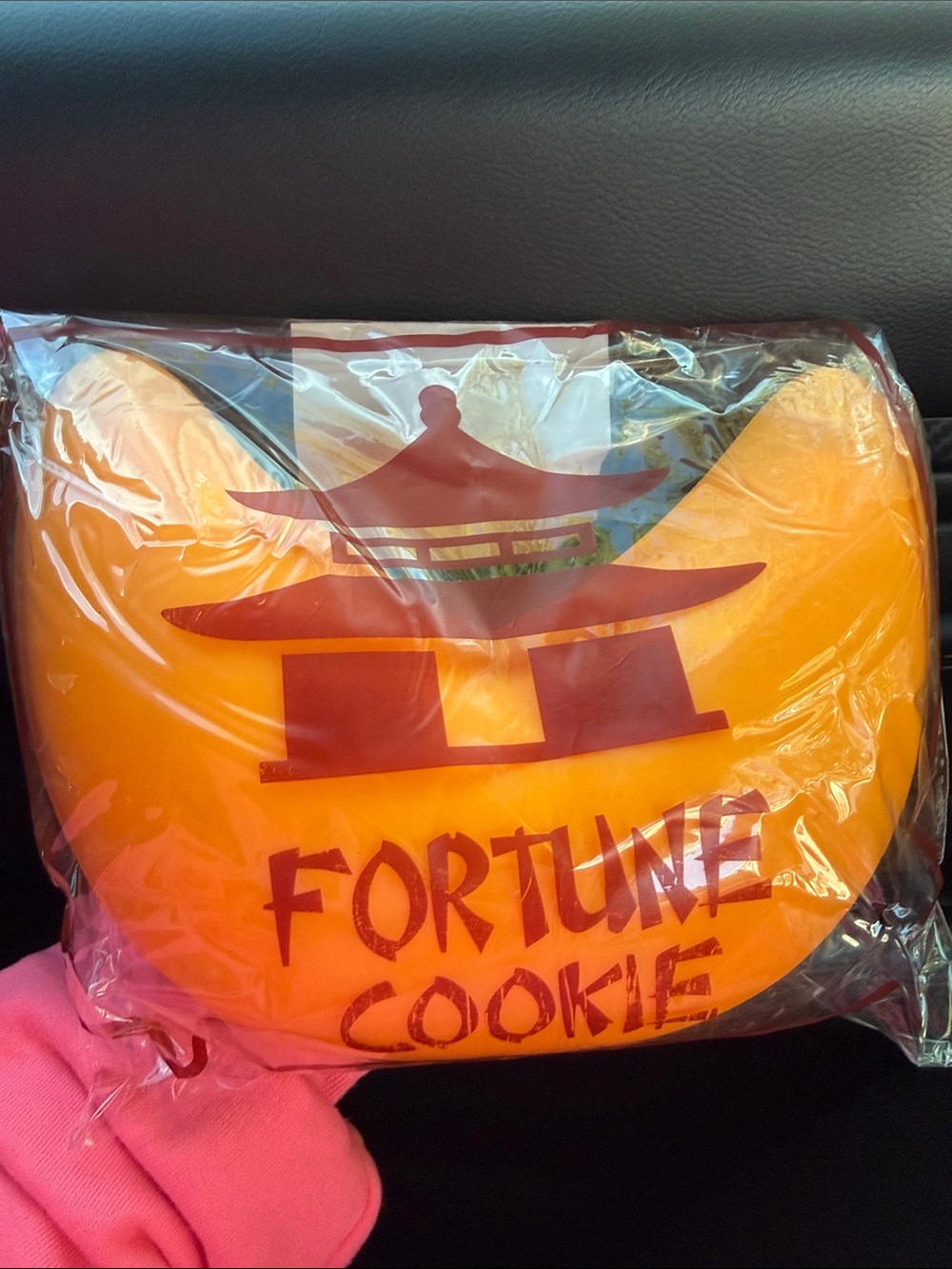 The Big Squij Fortune Cookie